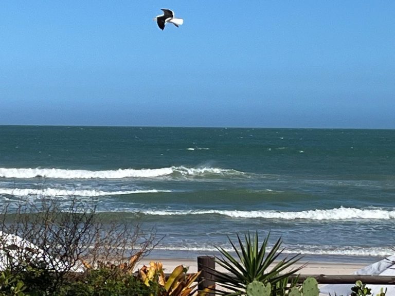 daba8a32-44a7-4d70-b21c-f264934c5ddf